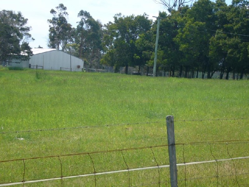 161 Back Creek Road, Pipers River TAS 7252