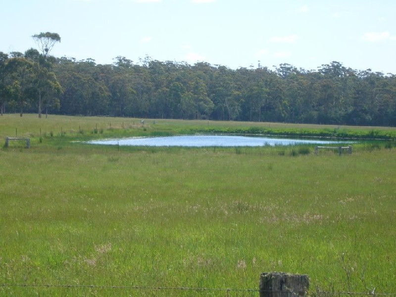 161 Back Creek Road, Pipers River TAS 7252