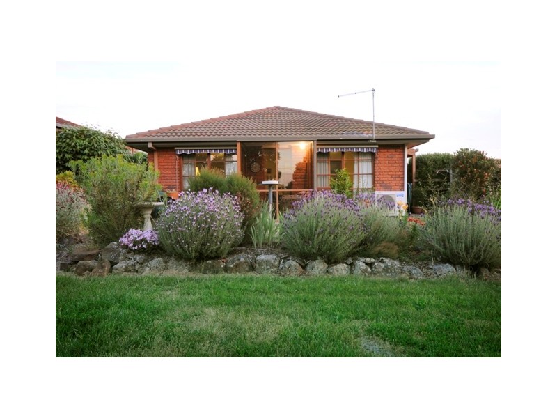 Prospect TAS 7250