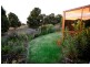 Prospect TAS 7250