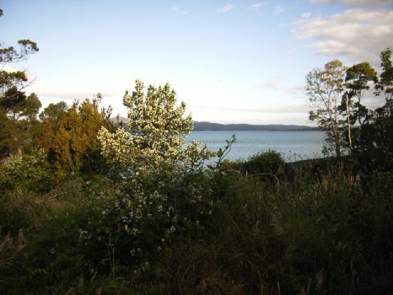 498 Deviot Road, Deviot TAS 7275