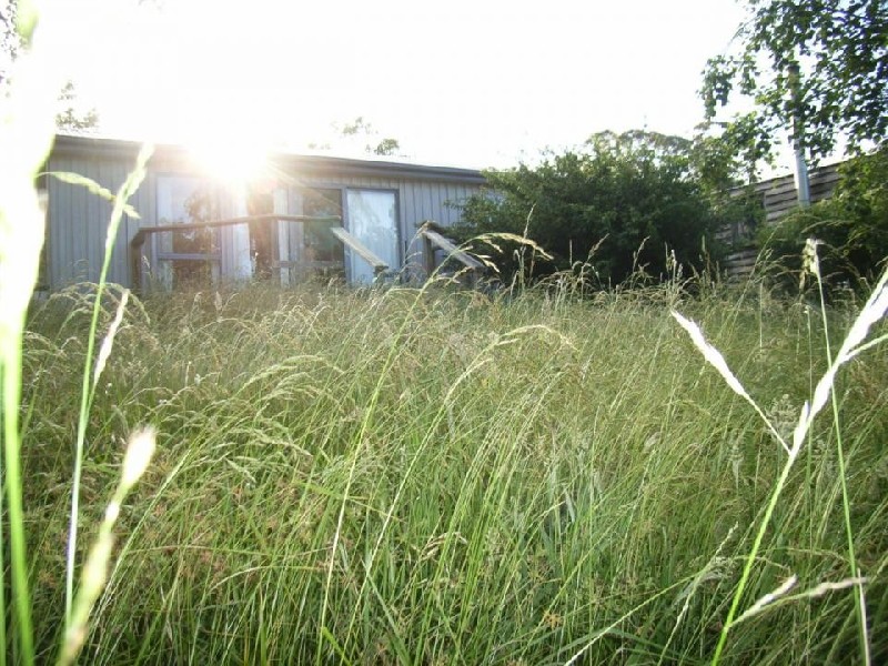 498 Deviot Road, Deviot TAS 7275