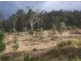 Travellers Rest TAS 7250