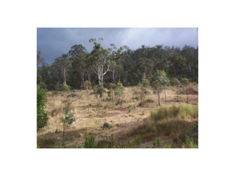 Travellers Rest TAS 7250