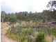 Travellers Rest TAS 7250