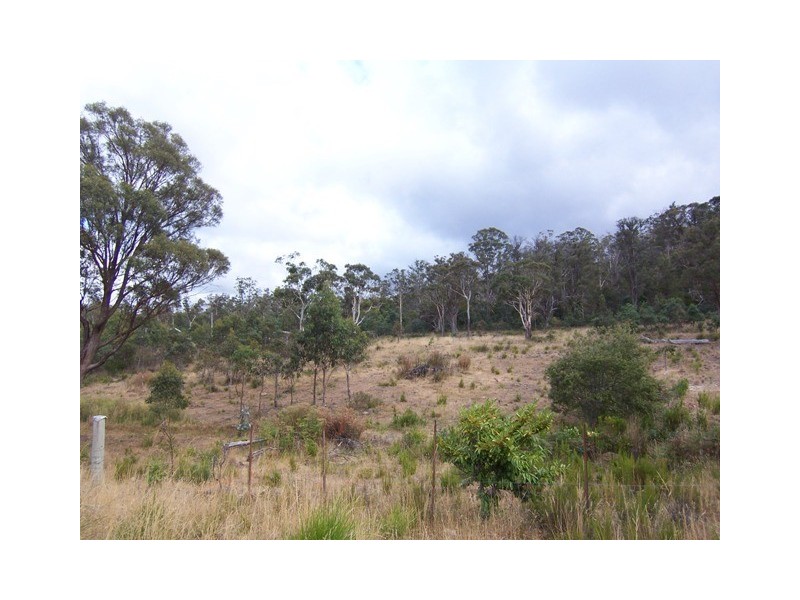 Travellers Rest TAS 7250