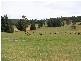 357 Underwood Road, Underwood TAS 7268