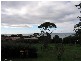 14 Barrett Street, Bicheno TAS 7215