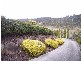 12 Longvista Road, Blackstone Heights TAS 7250