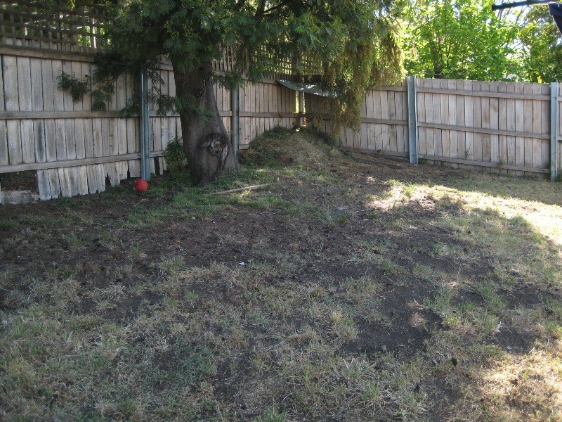 Launceston TAS 7250