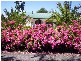 17 Atkinsons Road, Grindelwald TAS 7277