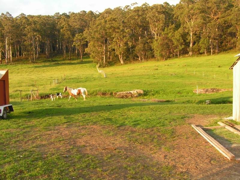 2 Pioneer Drive, Mole Creek TAS 7304