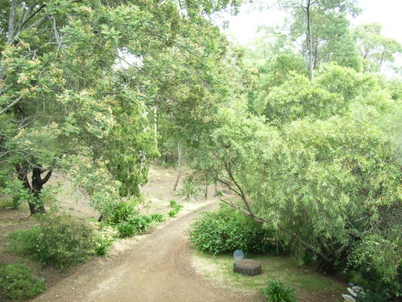 24 Bradys Lookout Road, Rosevears TAS 7277