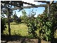 115 Dexter Street, Westbury TAS 7303