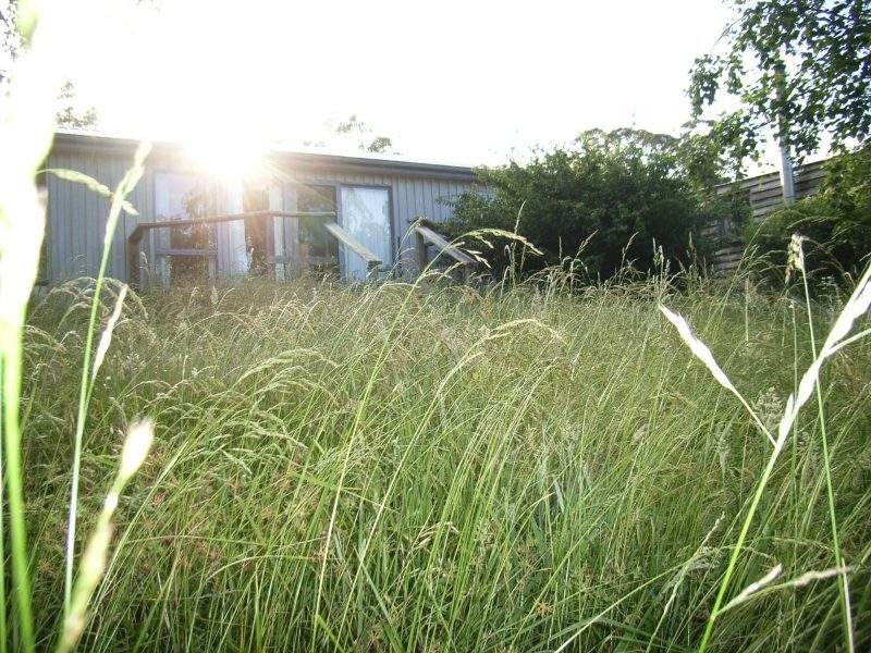 498 Deviot Road, Deviot TAS 7275