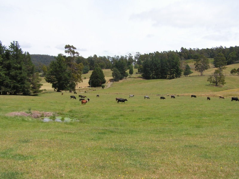 357 Underwood Road, Underwood TAS 7268