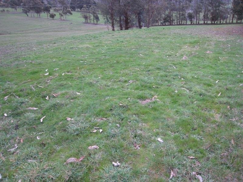 44A New Ecclestone Road, Riverside TAS 7250