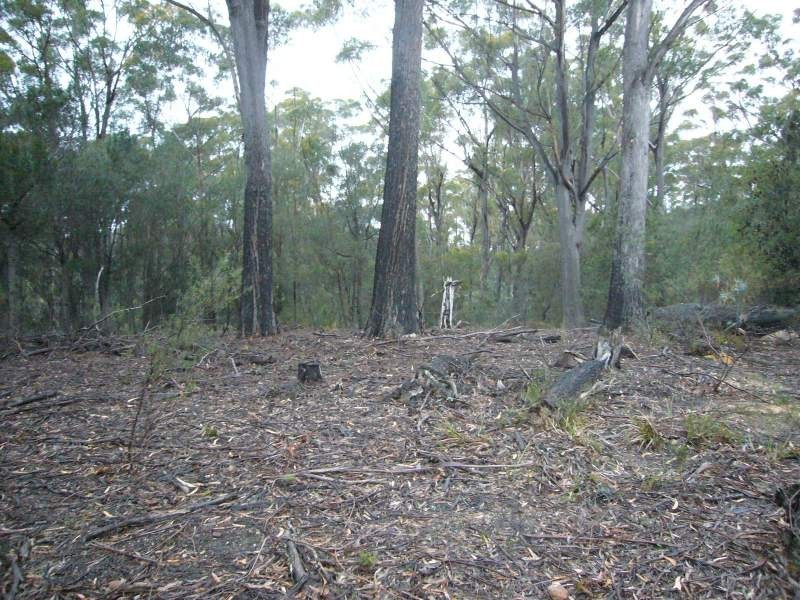 Lot 3 Upper Scamander Road, Scamander TAS 7215