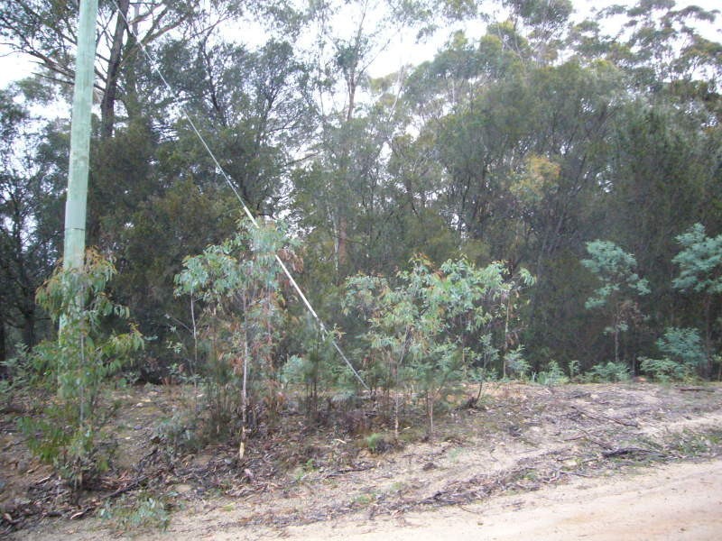 Lot 3 Upper Scamander Road, Scamander TAS 7215