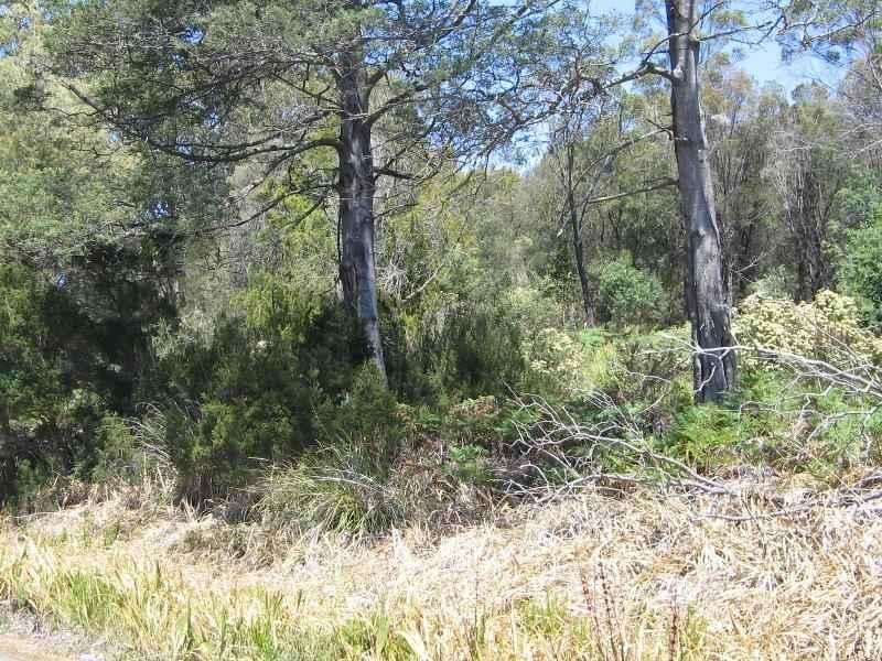 7 Hope Street, Lefroy TAS 7252