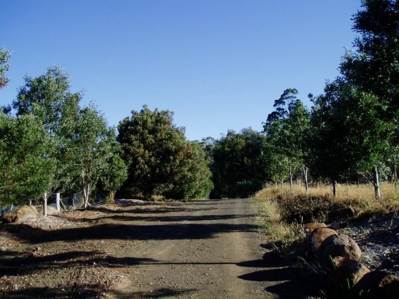 11A Bradys Lookout Road, Rosevears TAS 7277