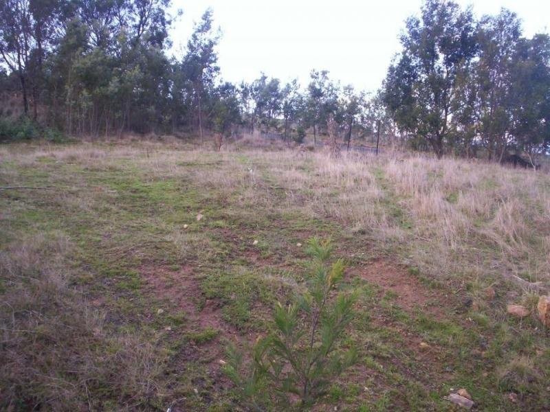 23 Columbus Drive, Blackstone Heights TAS 7250