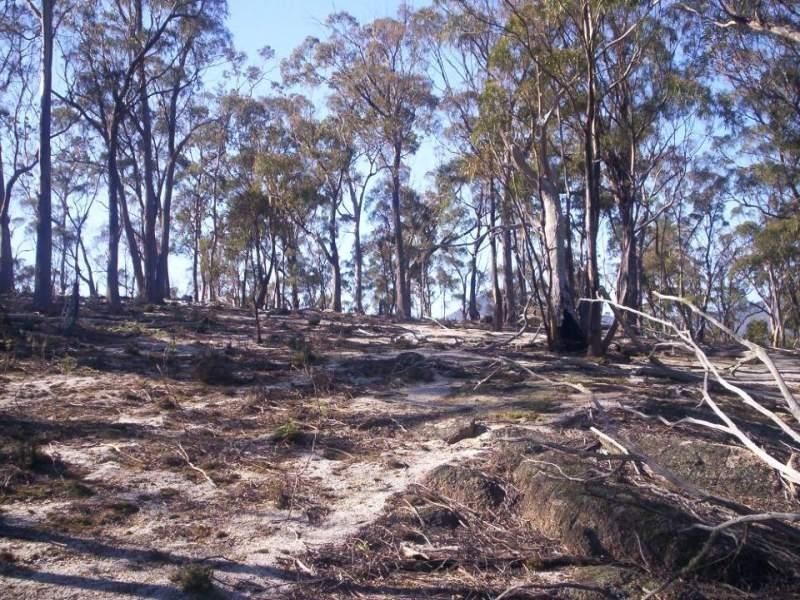 Lot 3 Leona Road, Avoca TAS 7213