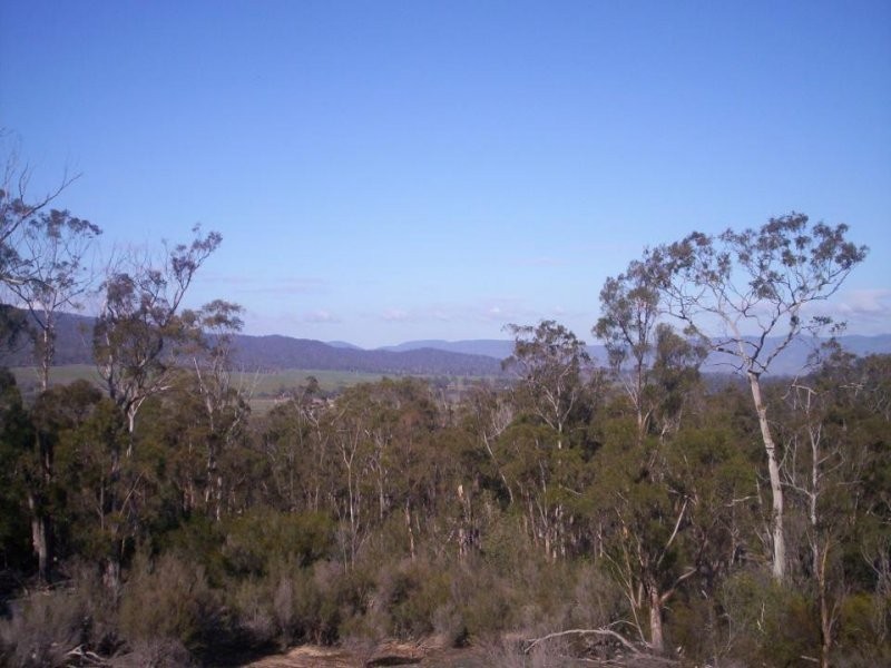 Lot 3 Leona Road, Avoca TAS 7213