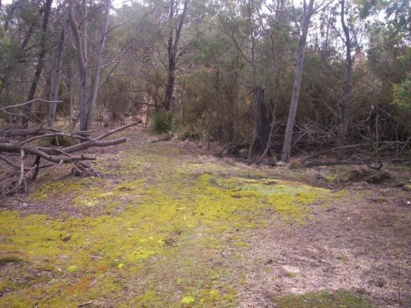 Lot 3 Leona Road, Avoca TAS 7213