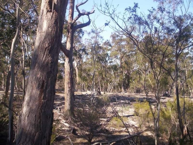 Lot 3 Leona Road, Avoca TAS 7213
