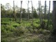715 Deviot Road, Deviot TAS 7275