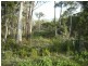 715 Deviot Road, Deviot TAS 7275