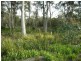 715 Deviot Road, Deviot TAS 7275