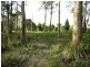 715 Deviot Road, Deviot TAS 7275