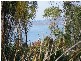 49 Gravelly Beach Road, Blackwall TAS 7275