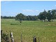 161 Back Creek, Pipers River TAS 7252