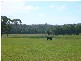 161 Back Creek, Pipers River TAS 7252
