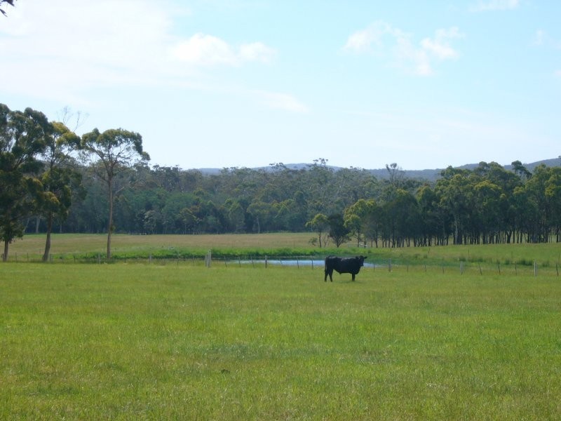 161 Back Creek, Pipers River TAS 7252
