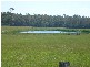 161 Back Creek, Pipers River TAS 7252