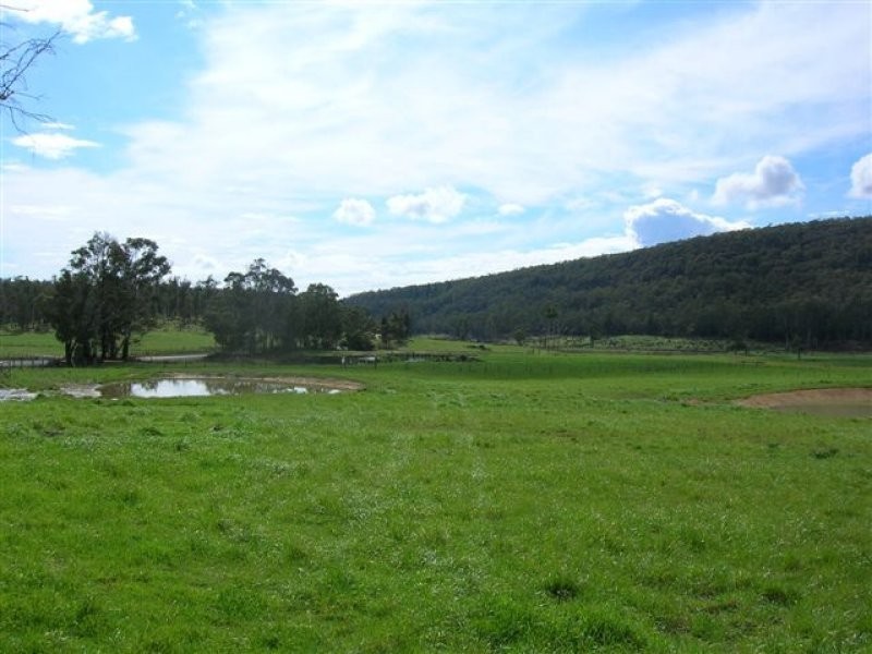 251 Flowery Gully Road, Flowery Gully TAS 7270
