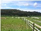 251 Flowery Gully Road, Flowery Gully TAS 7270