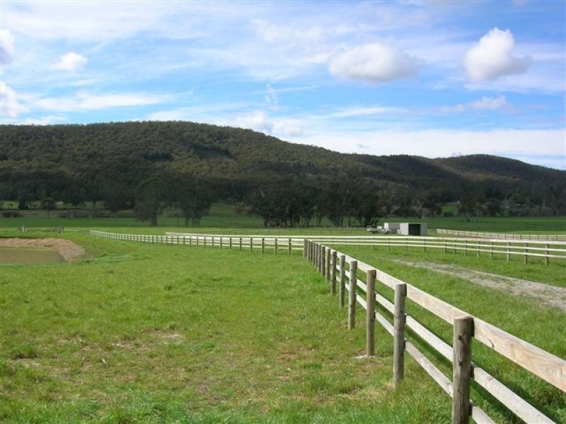 251 Flowery Gully Road, Flowery Gully TAS 7270