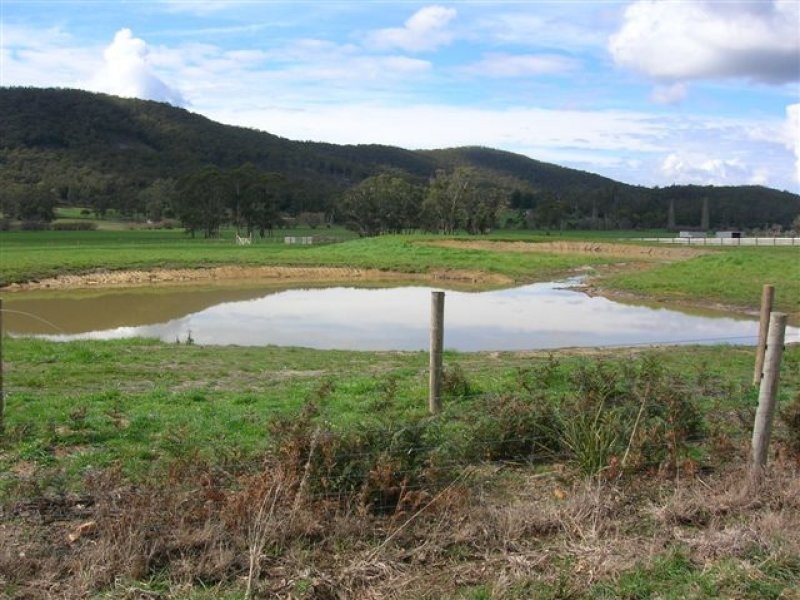 251 Flowery Gully Road, Flowery Gully TAS 7270
