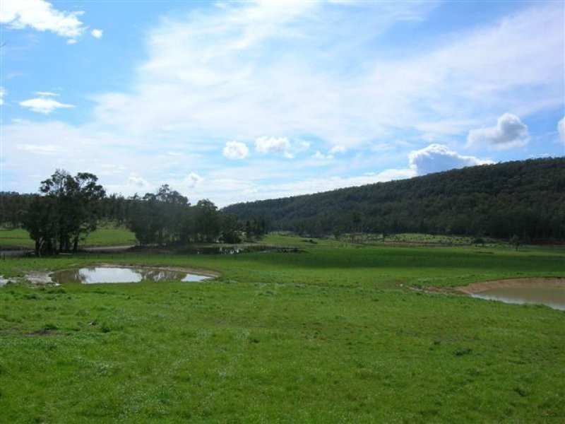 251 Flowery Gully Road, Flowery Gully TAS 7270