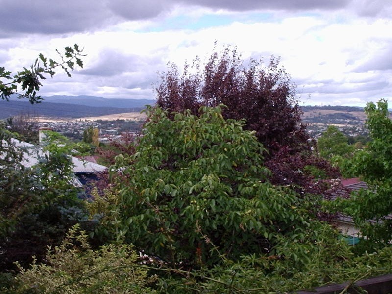 11 Raymond Street, East Launceston TAS 7250