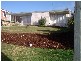 17 Andrea Place, Riverside TAS 7250