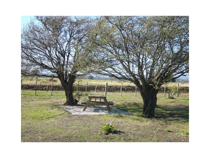 12877 Midlands Highway, Cleveland TAS 7211