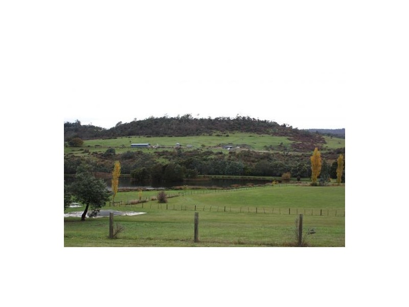 Waverley TAS 7250