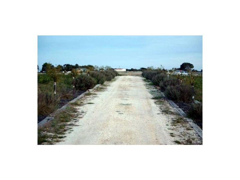 George Town TAS 7253