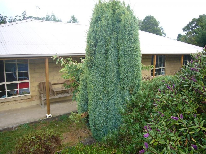 17 Camms Road, Kayena TAS 7270